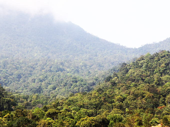 Ảnh: Bacgiang.gov