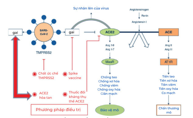 lieu phap oxy-ozone hinh 1