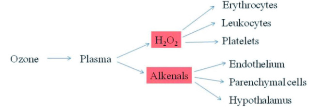 lieu phap oxy-ozone hinh 2