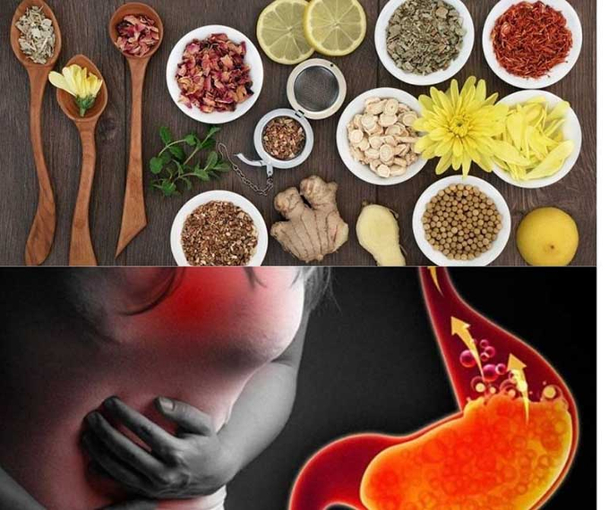 Vai trò của thuốc nam trị trào ngược dạ dày thực quản và viêm loét dạ dày. Ảnh: Thầy thuốc Việt Nam