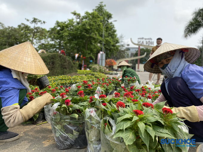 Công viên Hội An được “tô điểm” trước sự kiện Tuần văn hóa TP Thanh Hóa – TP Hội An