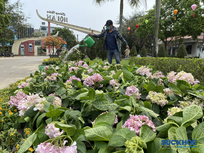 Nhiều loại hoa được đem đến trang trí 