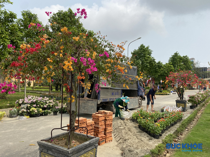 Hoa, cây cảnh được trồng tại lối vào công viên