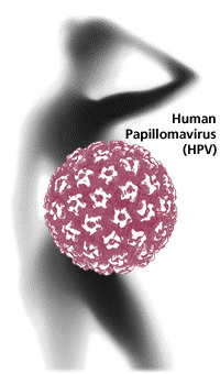 hpv