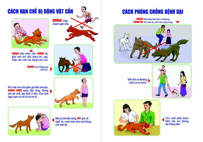 Ảnh: Cục Y tế dự phòng