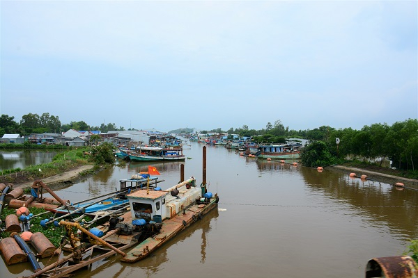 Ảnh minh họa