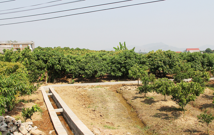 Ảnh: Bacgiang.gov