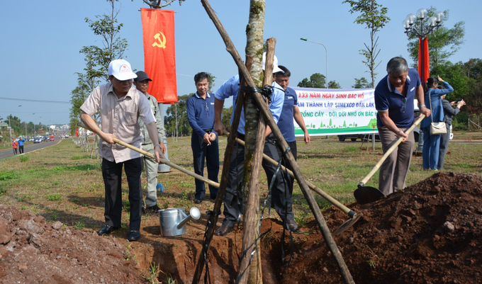 TP. Buôn Ma Thuột là một trong những thành phố có tỷ lệ cây xanh bình quân đầu người cao nhất cả nước