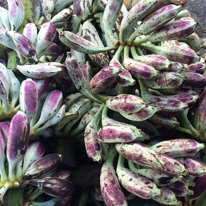 Empty