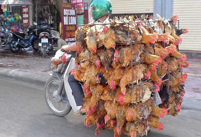 Ảnh: Quangnam.gov