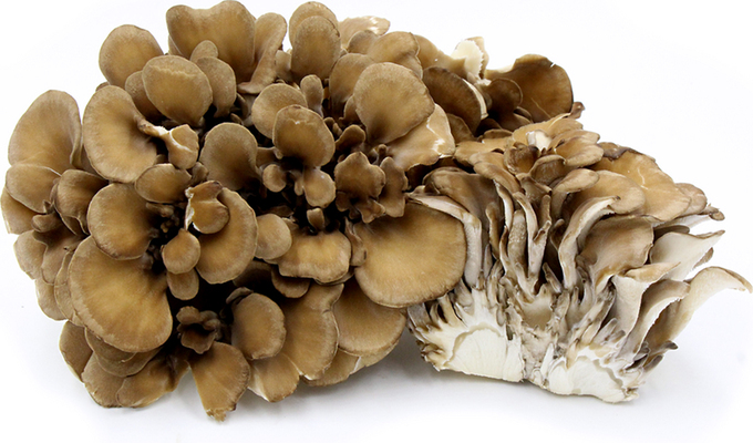 Ảnh: Specialty Produce