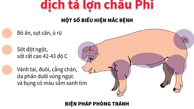 Ảnh: Ninhbinh.gov