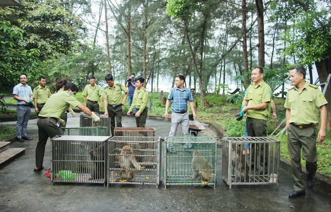 Ảnh: Báo Quảng Ninh