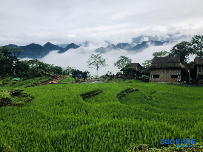 Pù Luông - điểm đến du lịch sinh thái cộng đồng nổi bật, thu hút đông đảo du khách tại  huyện Bá Thước, tỉnh Thanh Hóa.