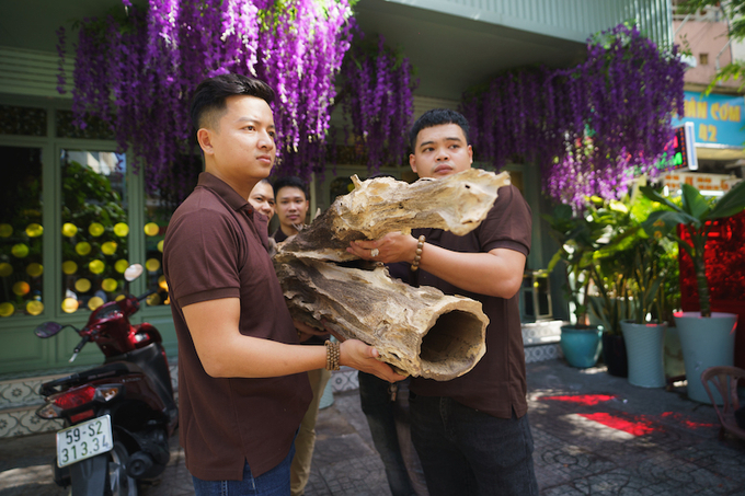 Mộc Minh Phát đang sở hữu thân Trầm 