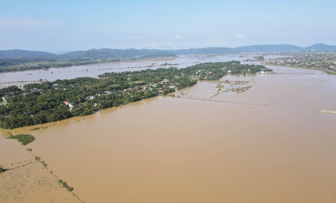 Ảnh: Báo Nghệ An