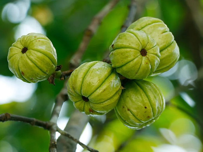 Tuyen-Nu-Phap-2
