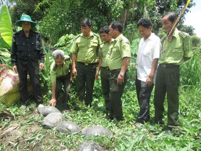 Ảnh: Baogialai.com.vn