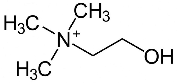 Anh 1.1