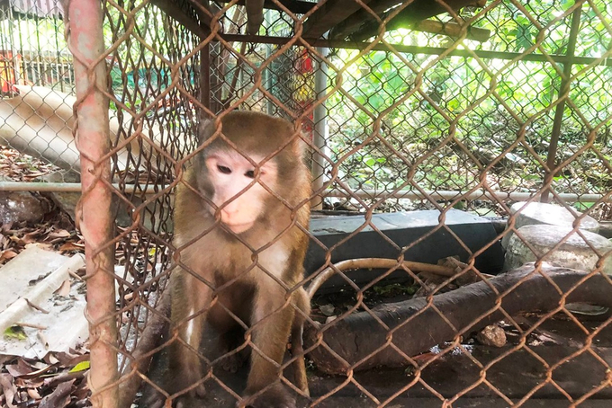 Ảnh: Báo Hải Dương