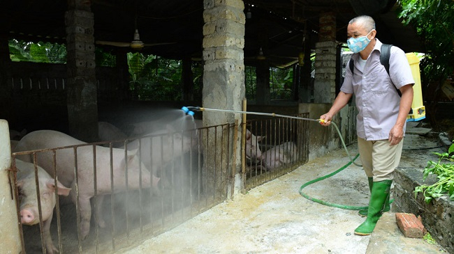 Ảnh: Sở Nông nghiệp và Phát triển nông thôn