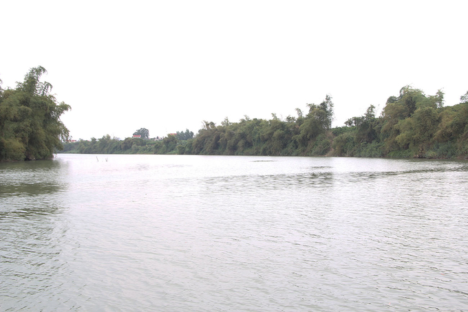 Ảnh minh họa: Bacgiang.gov