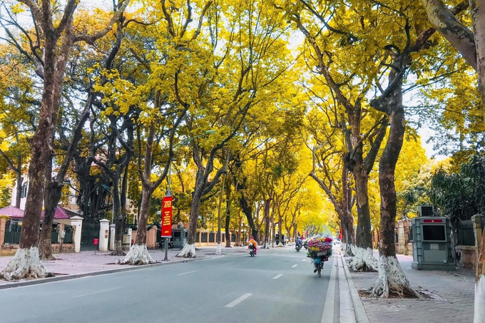 mua-thu-ha-noi8