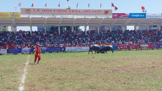 le hoi choi trau do son 2023