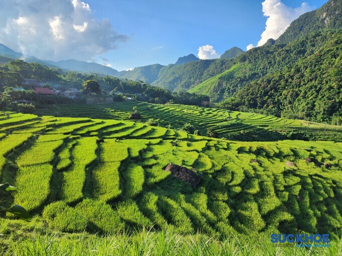 Tại Pù Luông, du khách sẽ di chuyển qua các điểm tham quan, bản làng bằng xe máy, xe đạp hoặc trekking. Rất nhiều điểm lưu trú tại đây cung cấp những dịch vụ này kèm hướng dẫn viên.