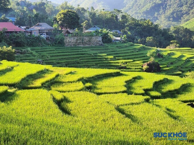 Cách trung tâm thành phố Thanh Hóa khoảng 120km về phía Tây, Bá Thước là huyện miền núi được thiên nhiên ban tặng cho hệ thống rừng nguyên sinh phong phú, thảm thực vật đa dạng, kết hợp với du lịch cộng đồng, đã tạo nên sự hấp dẫn cho du khách đến tham quan, nghỉ dưỡng tại đây.