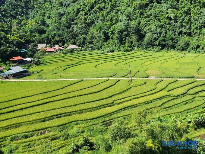 Du khách có thể trải nghiệm đi bộ đường dài qua những ruộng bậc thang, đạp xe, đi bè tre du ngoạn trên sông... hay đơn giản là thư giãn, đọc sách và hít thở không khí trong lành tại các bản làng.