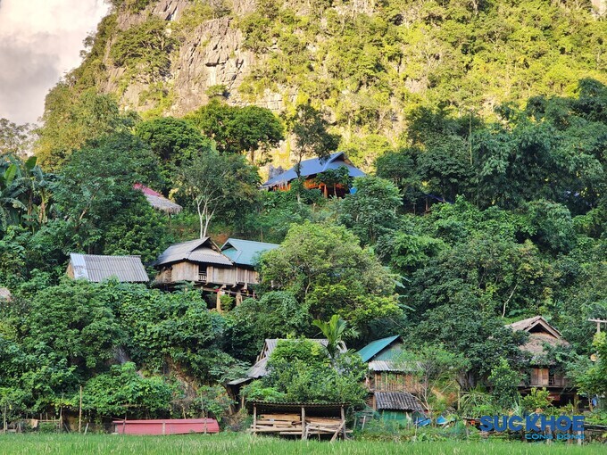 Đến với Bá Thước, du khách không thể không ghé thăm Khu Du lịch sinh thái cộng đồng Pù Luông. Được mệnh danh là “thiên đường giữa đại ngàn” xứ Thanh, Pù Luông cũng là nơi sinh sống và lưu giữ nét đẹp văn hóa của cộng đồng người Thái, Mường bản địa.