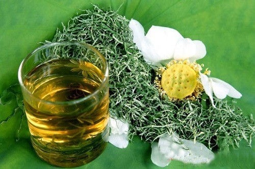 Ảnh minh họa: Lộc tân cương
