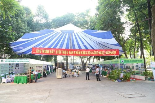 lam nghiep 2