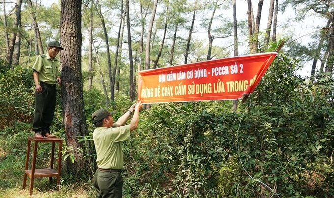 Ảnh: Bacgiang.gov