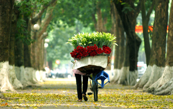 ha-noi-cuoi-thu-dau-dong
