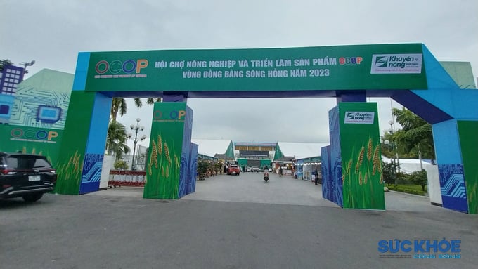 hoi tro trien lam
