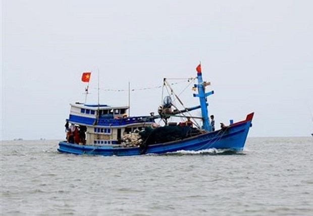 Ảnh minh họa: TTXVN