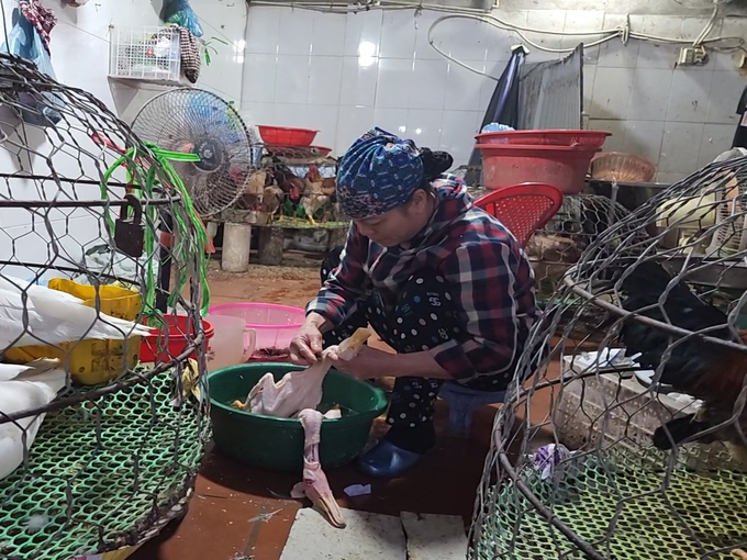 Các cơ sở này ngang nhiên giết mổ gia cầm trái phép, phớt lờ chỉ đạo của UBND thành phố Thanh Hóa (Hình ảnh được phóng viên ghi nhận chiều 18/10/2023)