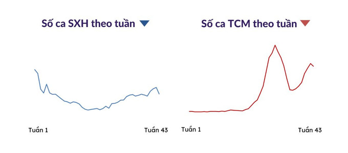 Biểu đồ thể hiện xu hướng dịch bệnh tại thành phố Hồ Chí Minh từ đầu năm 2023 đến nay. Ảnh đồ họa: HCDC