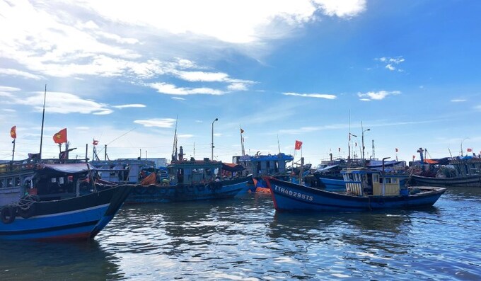 Ảnh minh họa: Thuathienhue.gov