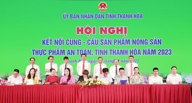 thanhhoaketnoicungcau