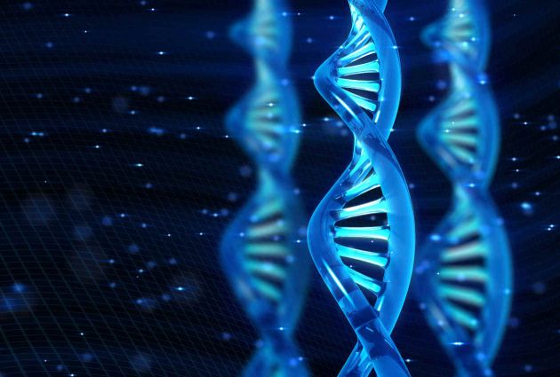congnghetebaogoc dna