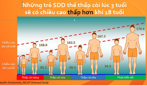 Anh 1