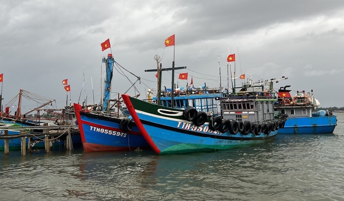 Ảnh: Báo Thừa Thiên Huế