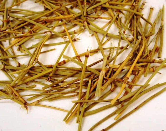 Vị thuốc ma hoàng. Ảnh: Caythuoc.org