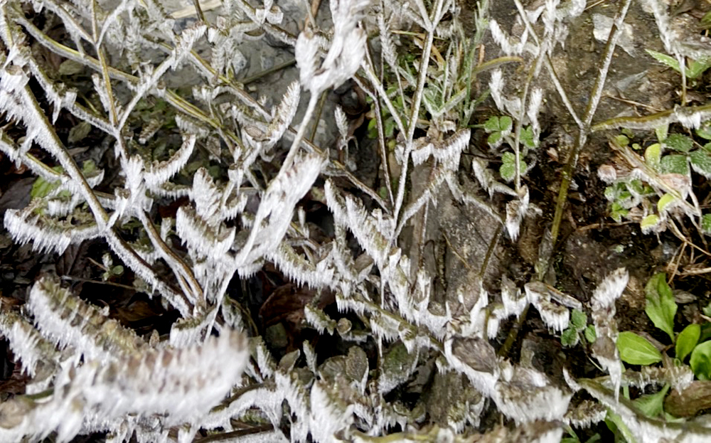 yenbai1