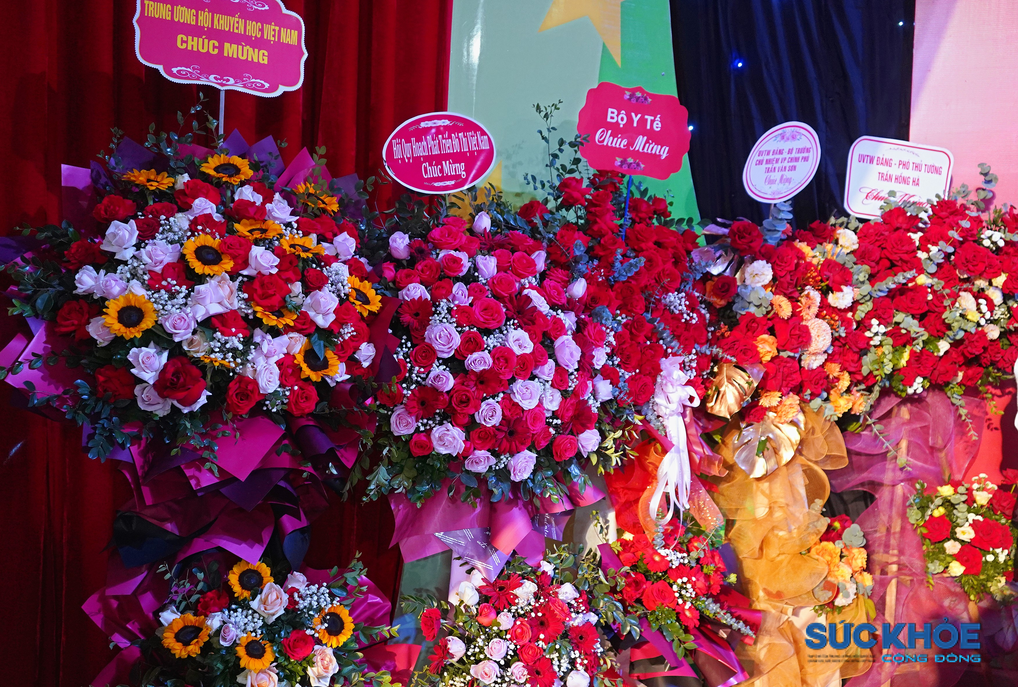 DSC05377 (2)