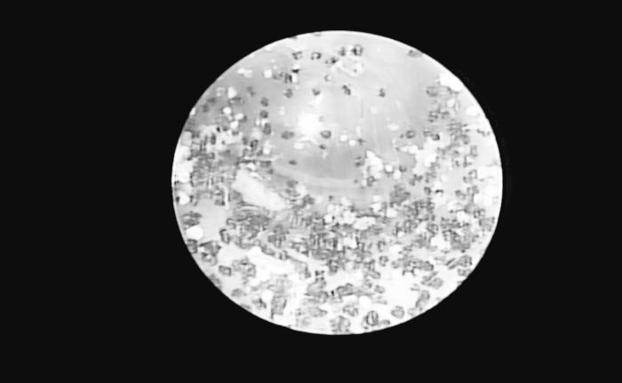 vc1