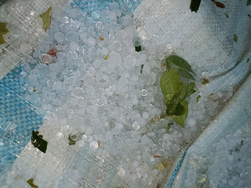 muada